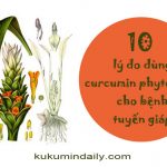 10 lý do dùng curcumin phytosome cho bệnh tuyến giáp